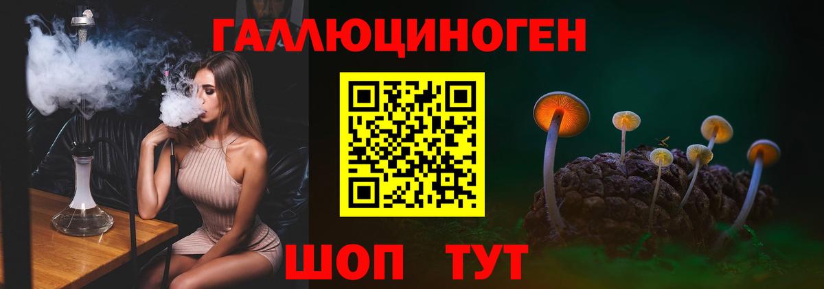 Псилоцибиновые грибы GOLDEN TEACHER Чебоксары
